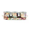 Clearance MacKenzie-Childs Avant Garden Herb Pots - Set Of 3