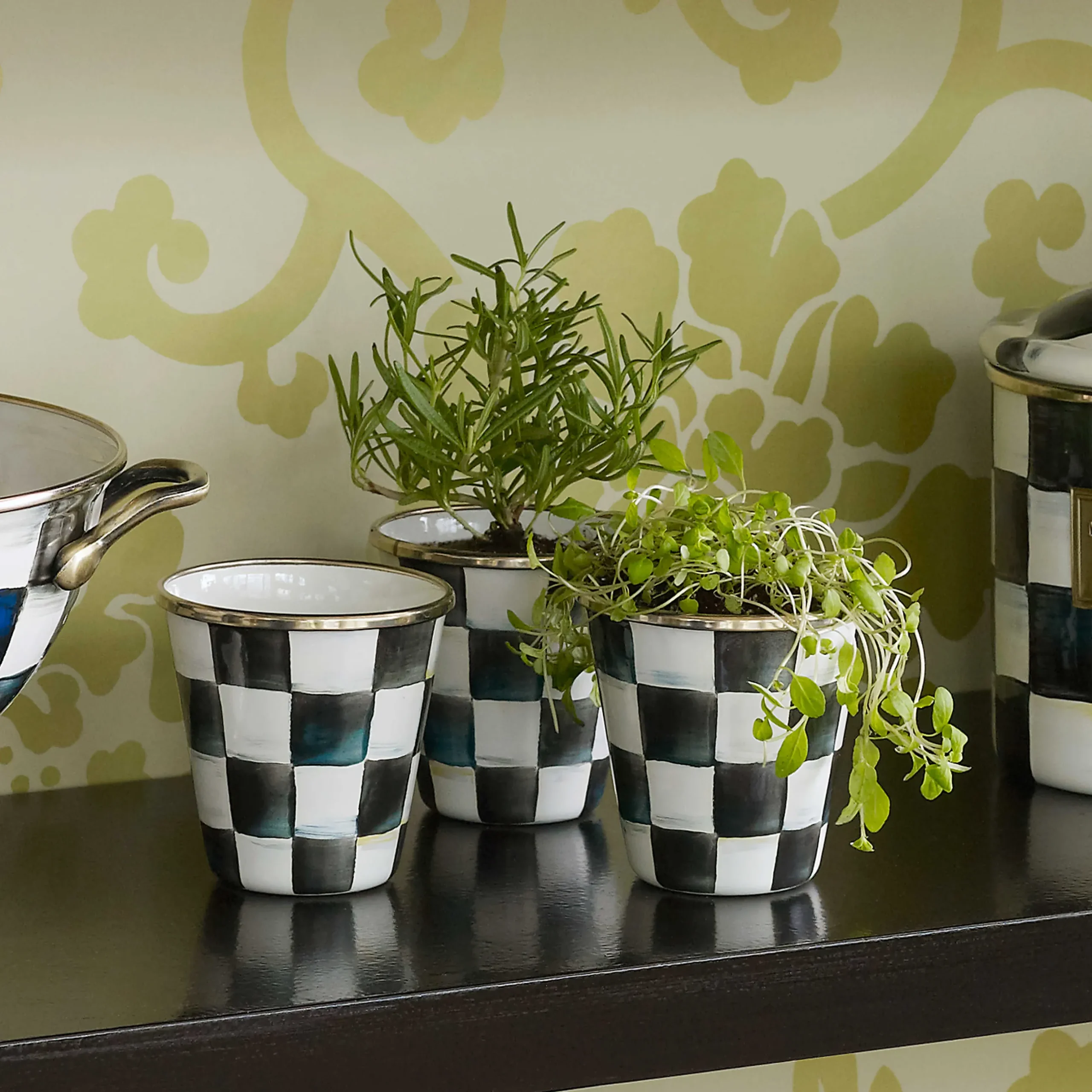 MacKenzie-Childs Courtly Check Enamel Herb Pots - Set Of 3