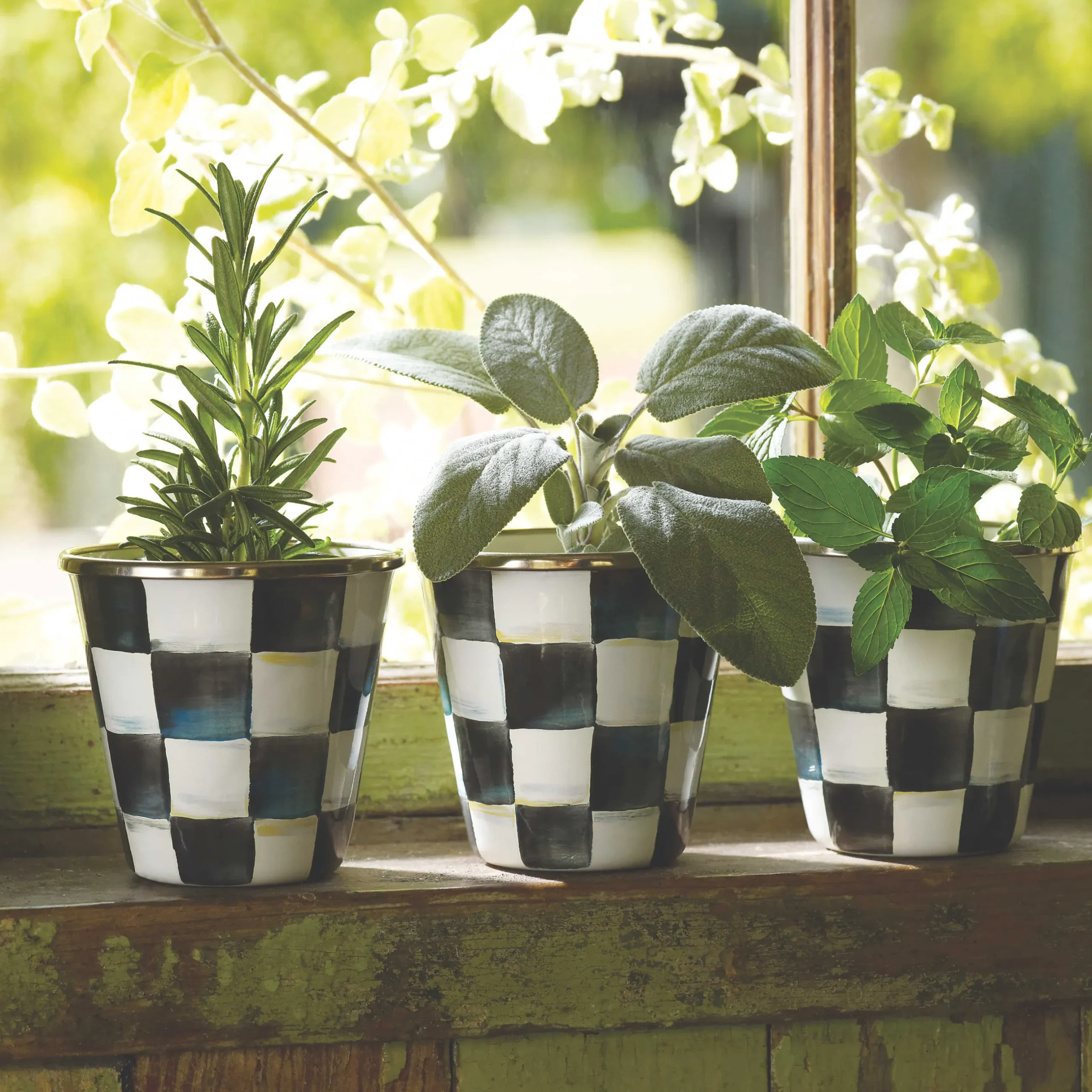 MacKenzie-Childs Courtly Check Enamel Herb Pots - Set Of 3