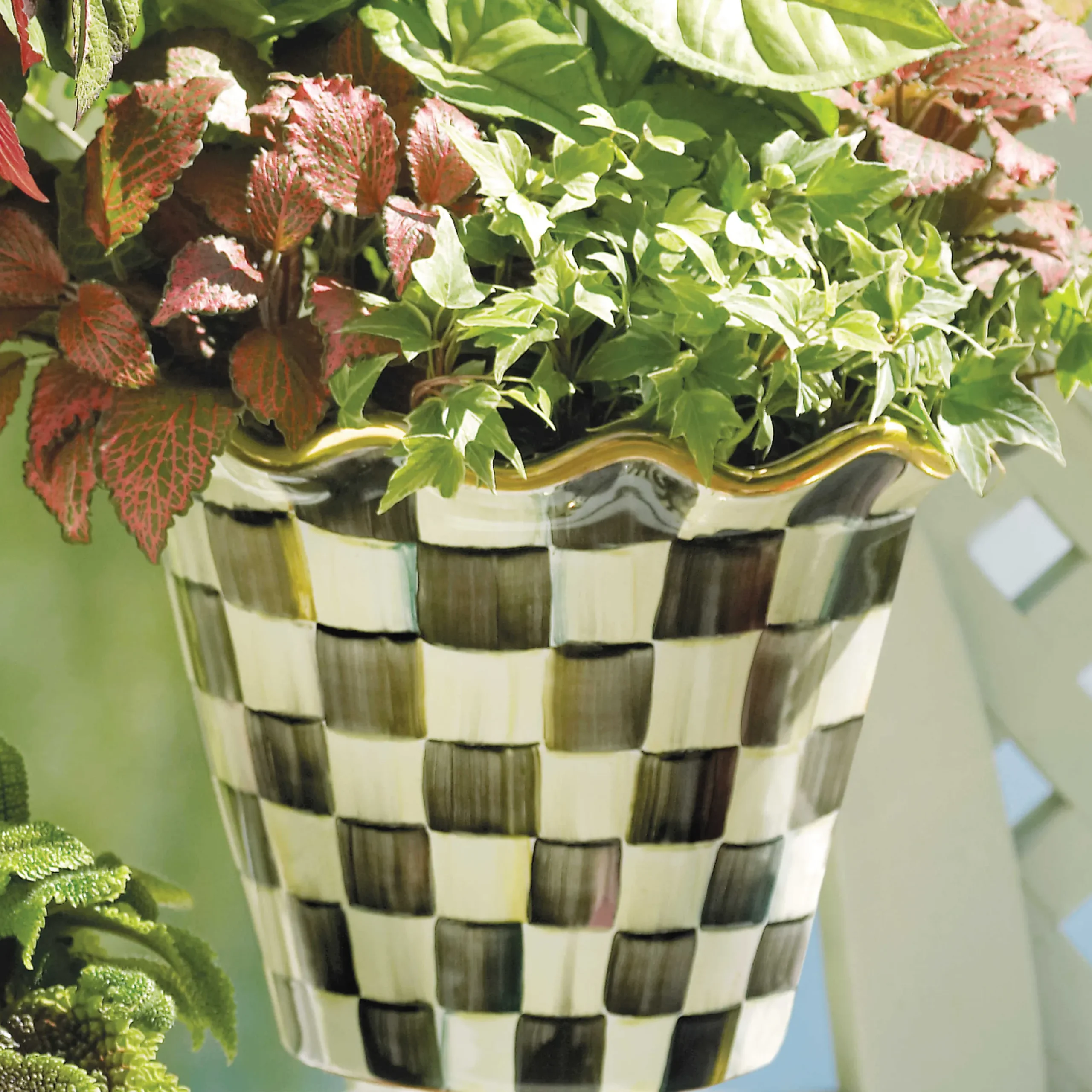 Outlet MacKenzie-Childs Courtly Check Garden Pot - 8"