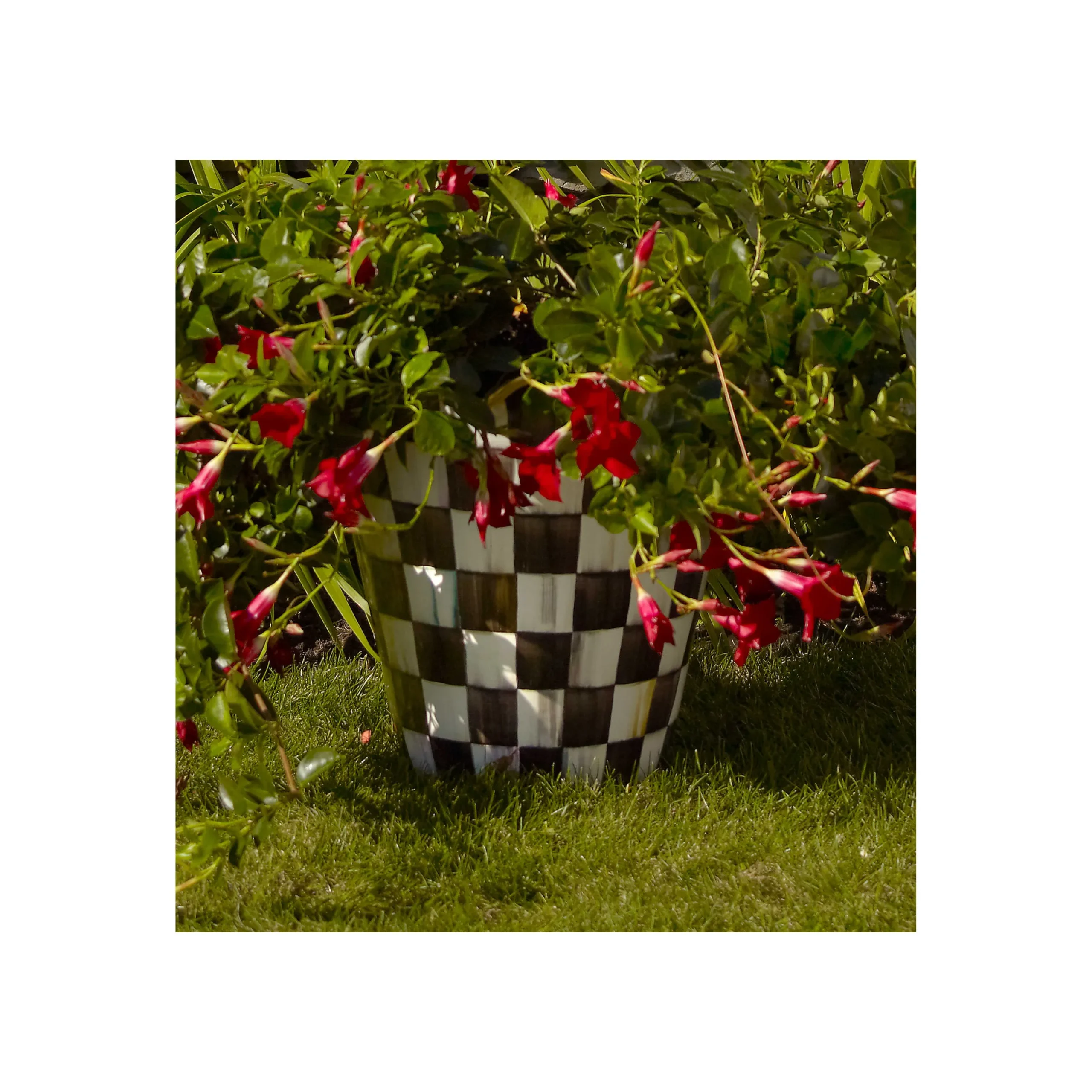 Online MacKenzie-Childs Courtly Check Jumbo Garden Pot