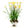 New MacKenzie-Childs Daffodil Centerpiece