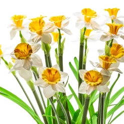 New MacKenzie-Childs Daffodil Centerpiece