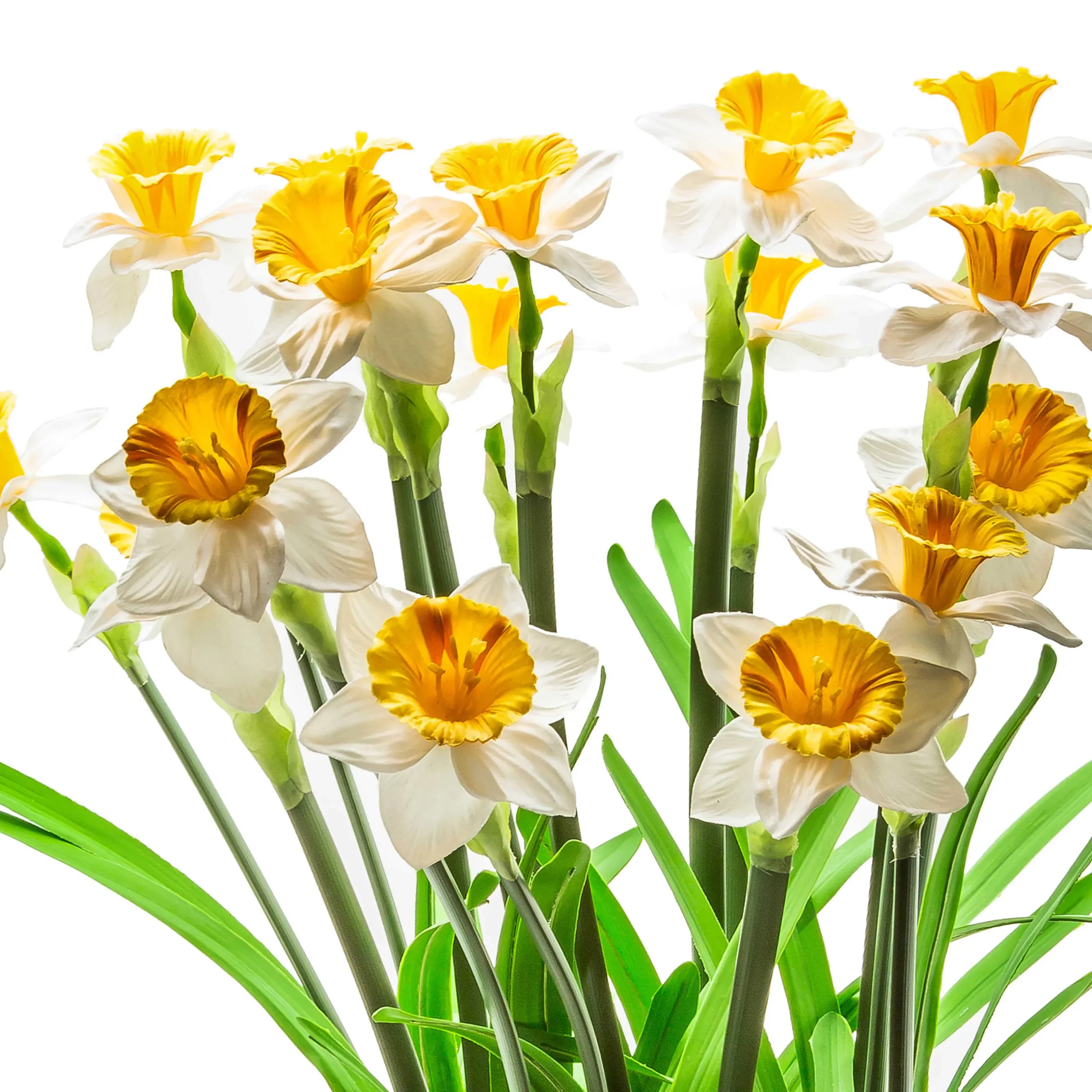 New MacKenzie-Childs Daffodil Centerpiece