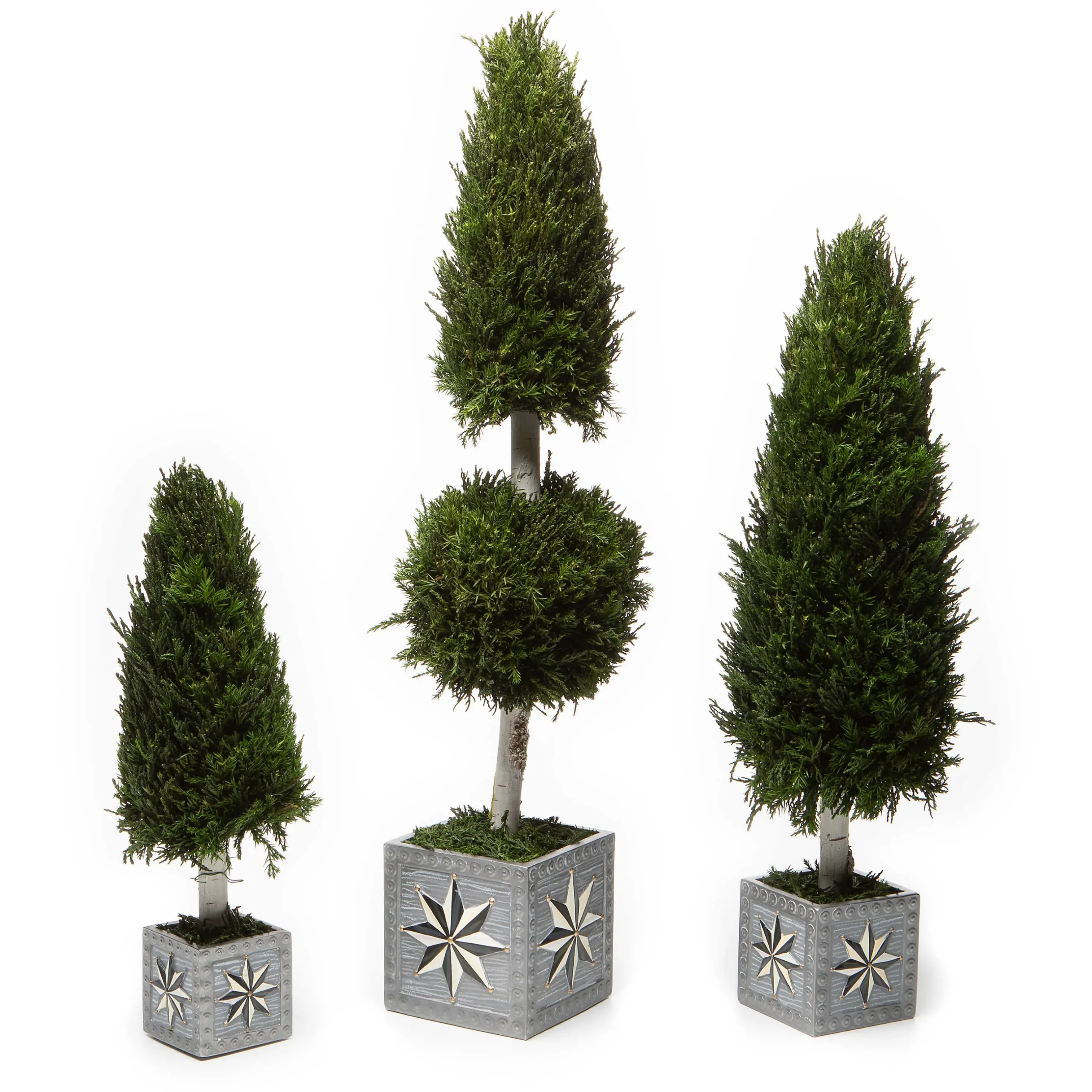 Discount MacKenzie-Childs Farmhouse Cypress Tree - Medium