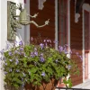 Clearance MacKenzie-Childs Frog Plant Hanger