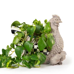 Discount MacKenzie-Childs Naturals Mother Hen Planter