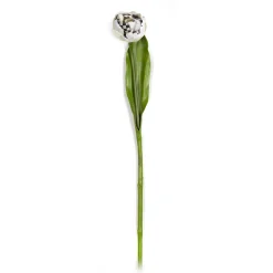 Discount MacKenzie-Childs Parrot Tulip - Ivory