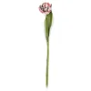 New MacKenzie-Childs Parrot Tulip - Pink