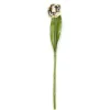 Sale MacKenzie-Childs Parrot Tulip - Yellow