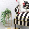 Best MacKenzie-Childs Rooster Pillow