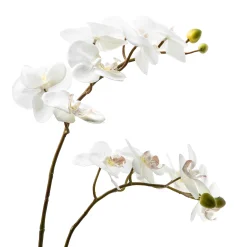 Clearance MacKenzie-Childs Royal Toile Potted Orchid - Large