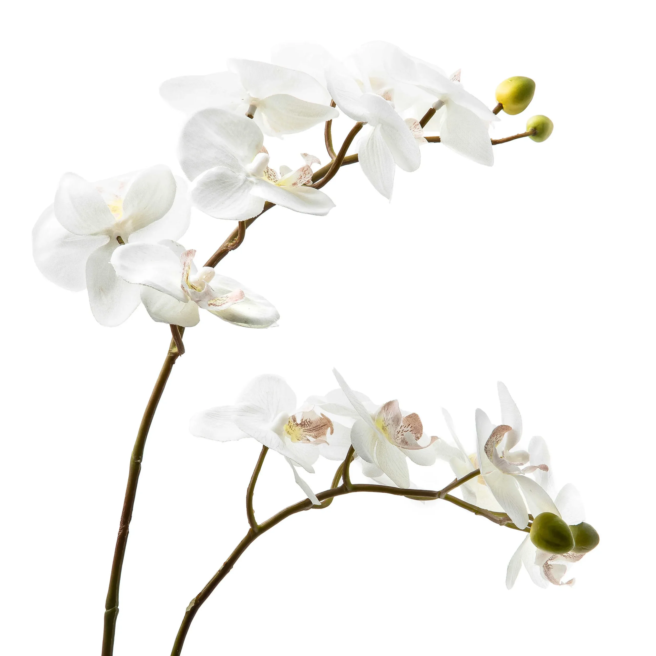 Clearance MacKenzie-Childs Royal Toile Potted Orchid - Large
