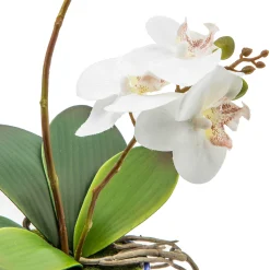 Best MacKenzie-Childs Royal Toile Potted Orchid - Medium