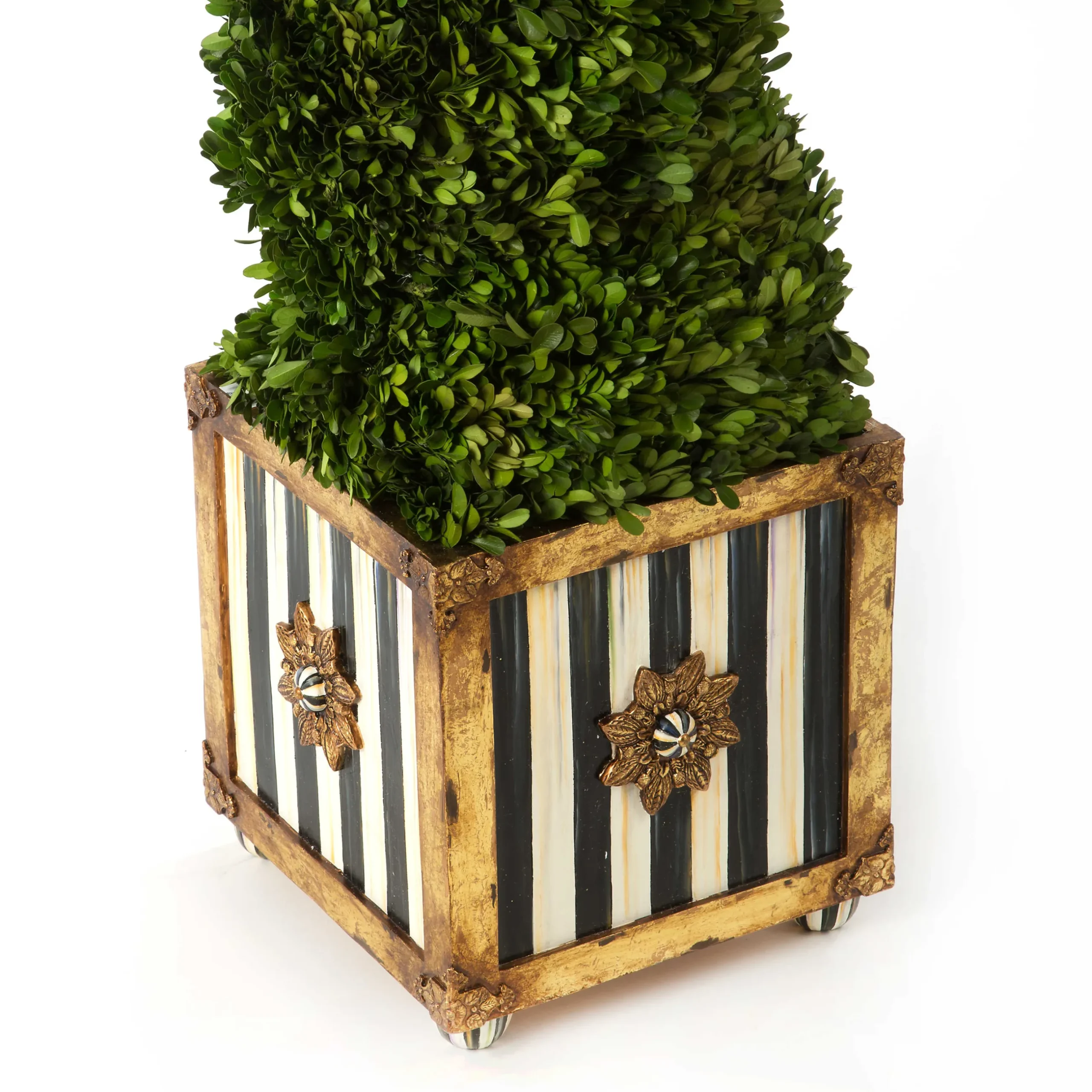Online MacKenzie-Childs Swirl Topiary