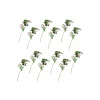 Hot MacKenzie-Childs Wild Rose Spray Bouquet - Cream - Set Of 12